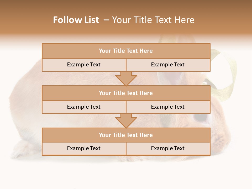 Shot Closeup Beauty PowerPoint Template