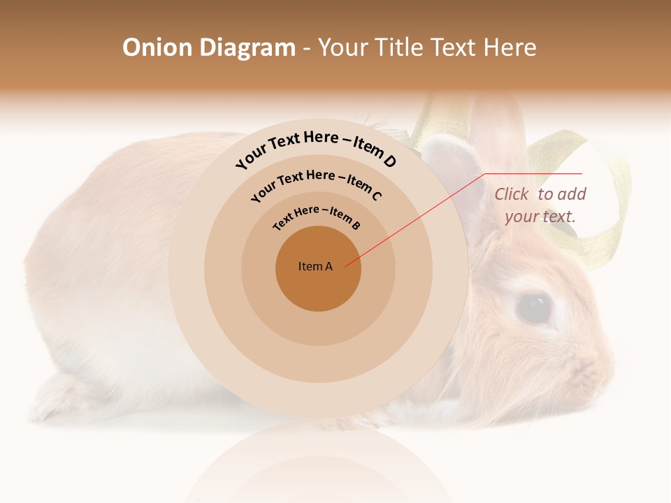 Shot Closeup Beauty PowerPoint Template