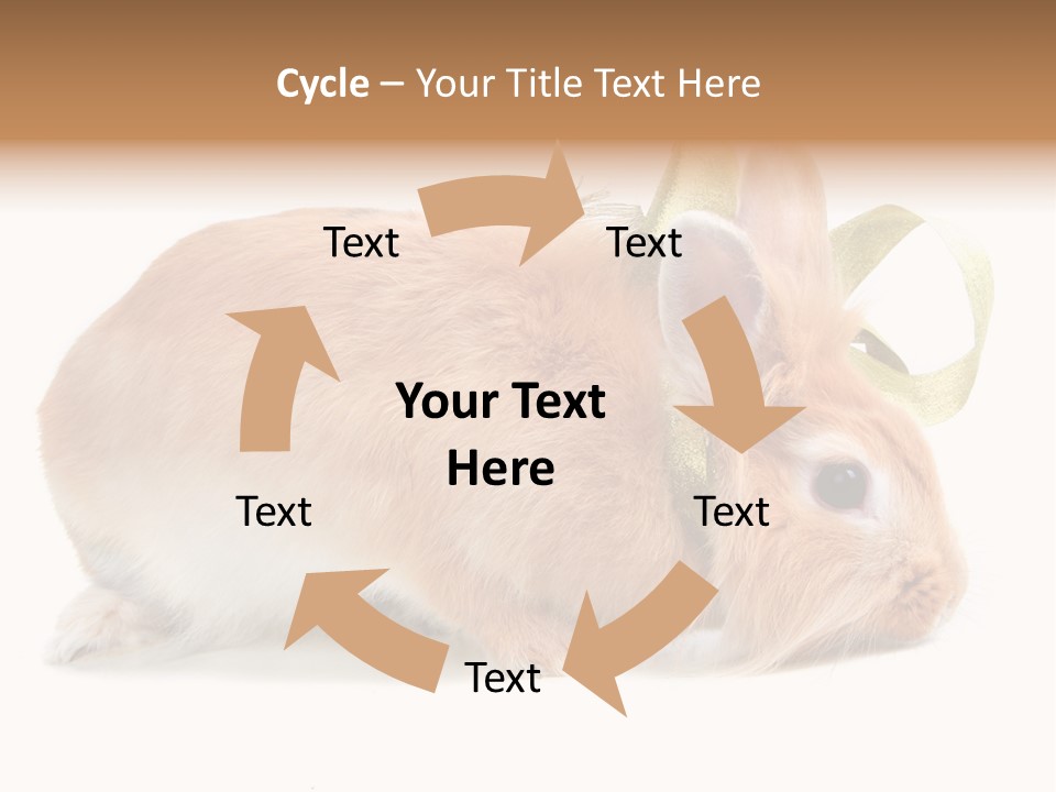 Shot Closeup Beauty PowerPoint Template