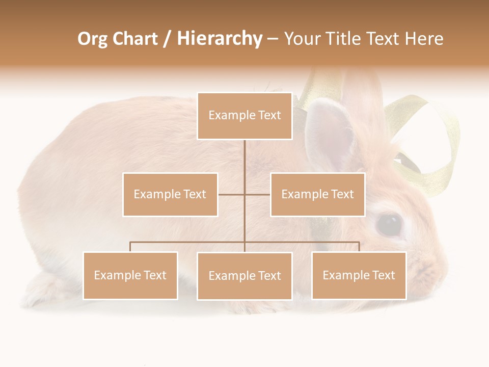 Shot Closeup Beauty PowerPoint Template