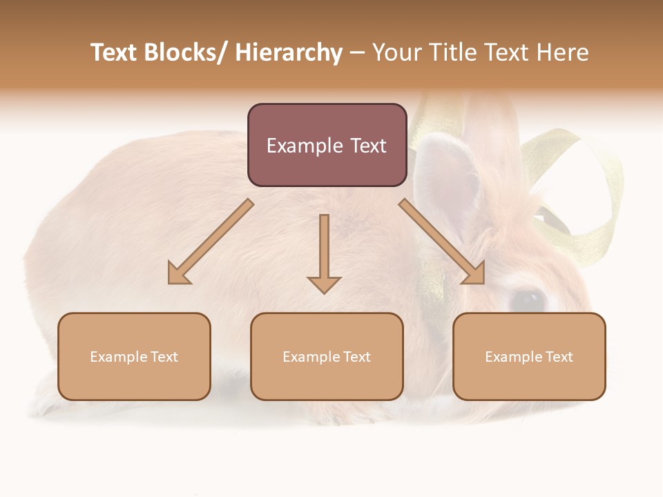 Shot Closeup Beauty PowerPoint Template