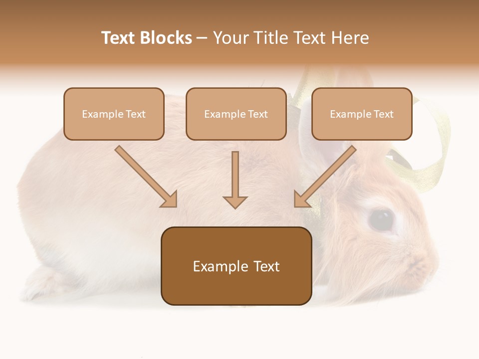 Shot Closeup Beauty PowerPoint Template