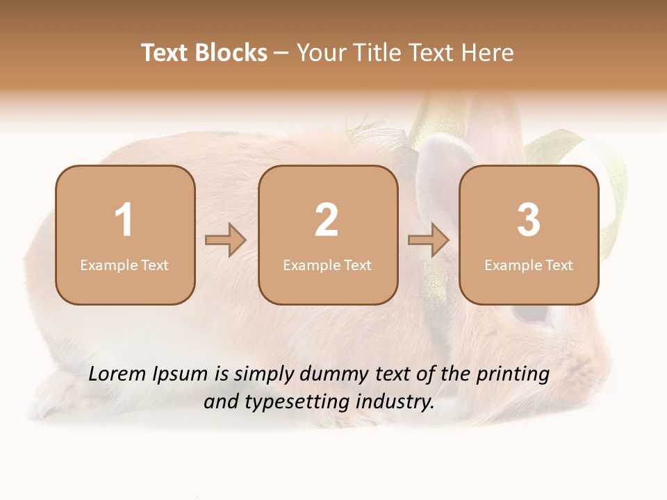 Shot Closeup Beauty PowerPoint Template