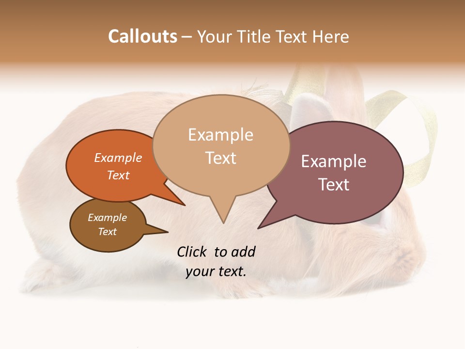 Shot Closeup Beauty PowerPoint Template