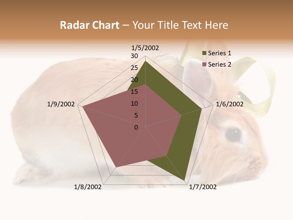 Shot Closeup Beauty PowerPoint Template