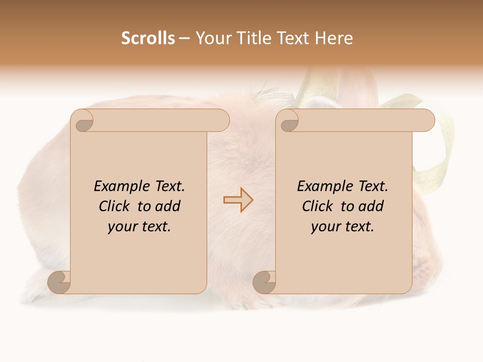 Shot Closeup Beauty PowerPoint Template