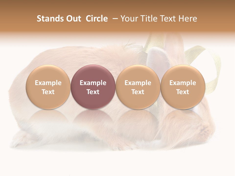 Shot Closeup Beauty PowerPoint Template