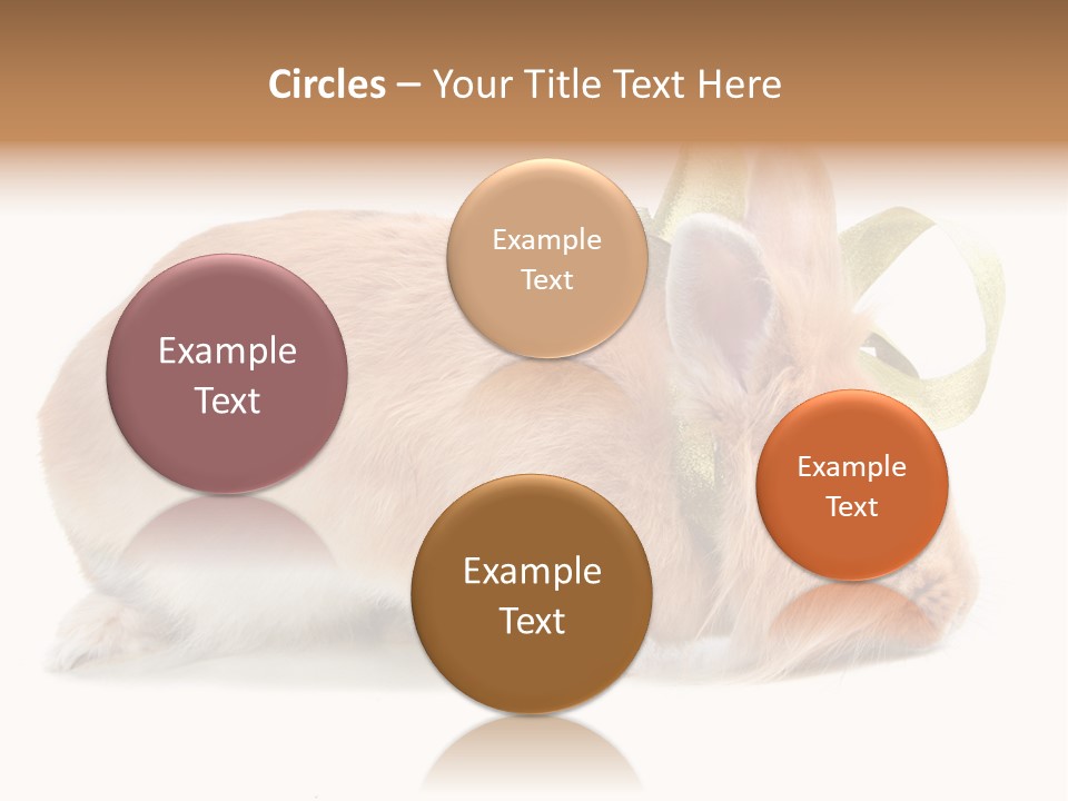 Shot Closeup Beauty PowerPoint Template