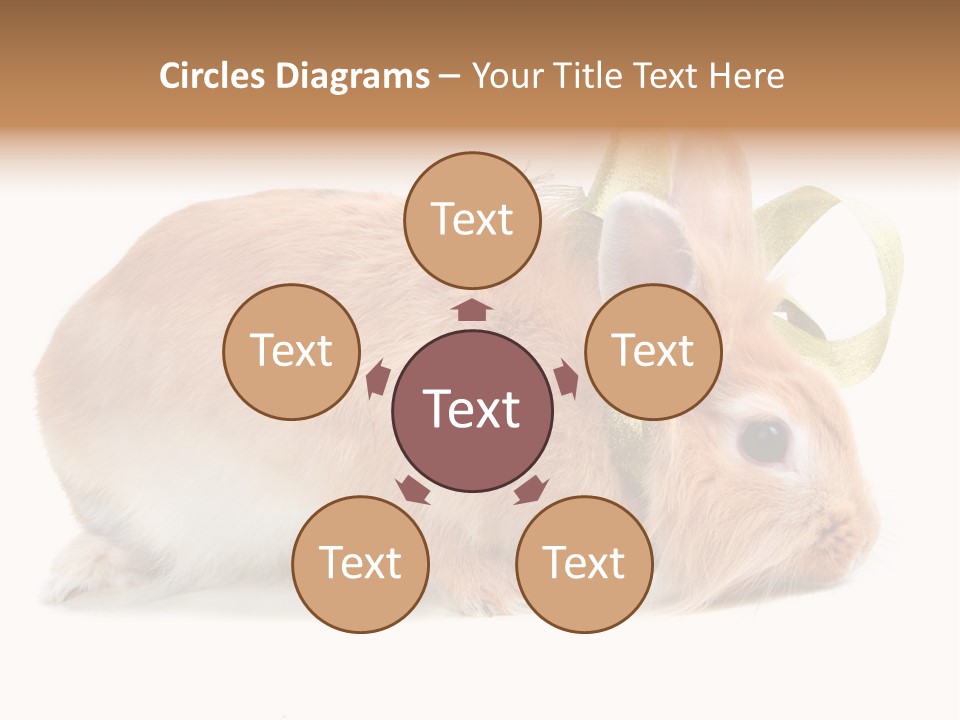 Shot Closeup Beauty PowerPoint Template