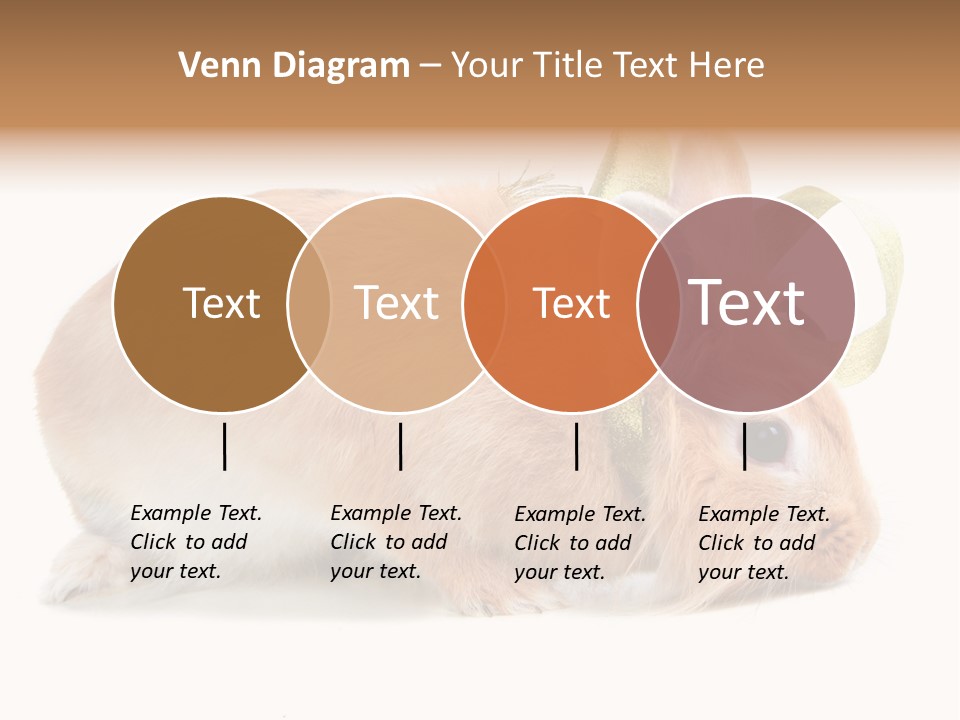 Shot Closeup Beauty PowerPoint Template