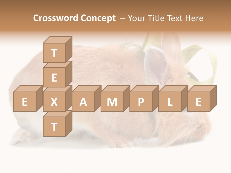 Shot Closeup Beauty PowerPoint Template