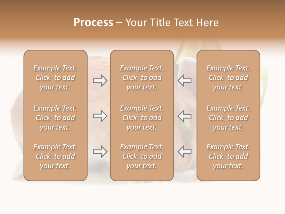 Shot Closeup Beauty PowerPoint Template