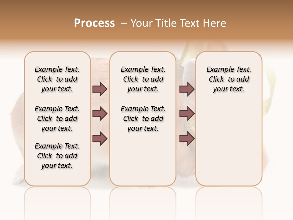 Shot Closeup Beauty PowerPoint Template