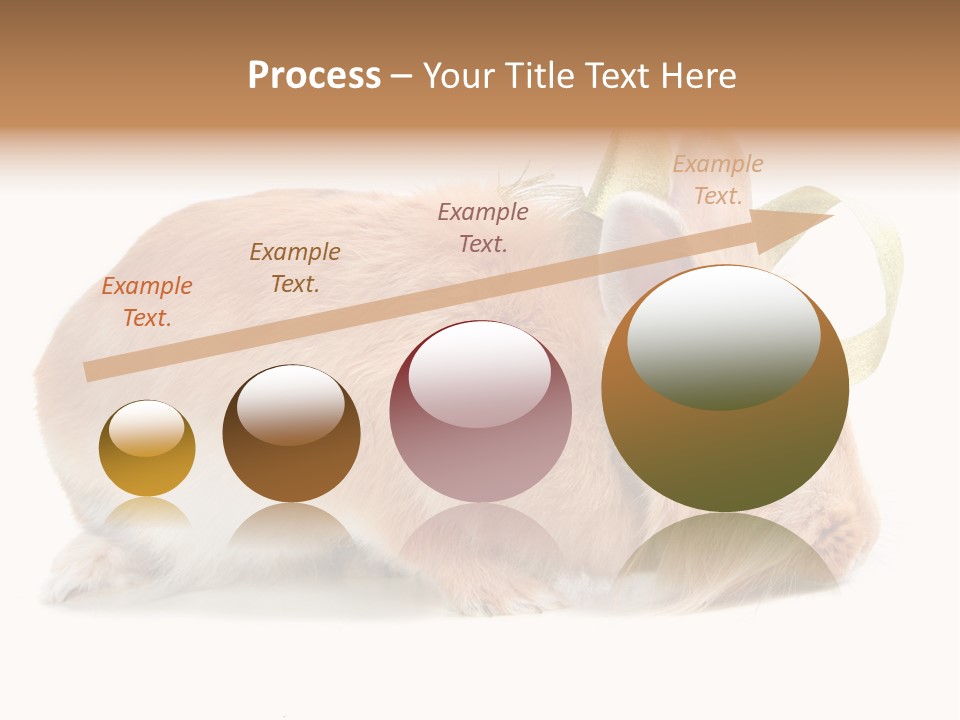 Shot Closeup Beauty PowerPoint Template