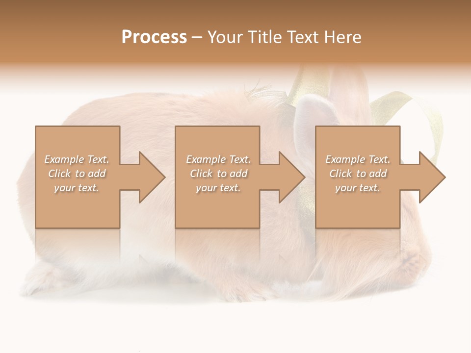 Shot Closeup Beauty PowerPoint Template