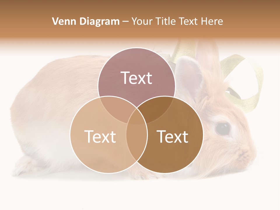 Shot Closeup Beauty PowerPoint Template