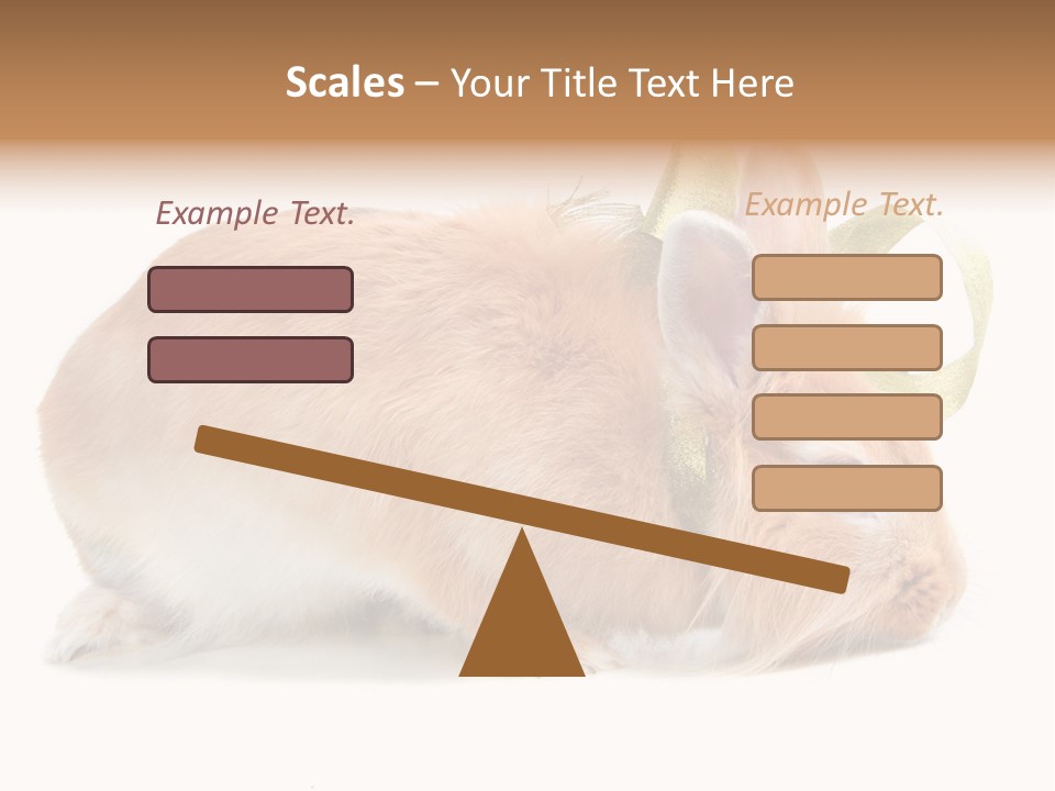 Shot Closeup Beauty PowerPoint Template