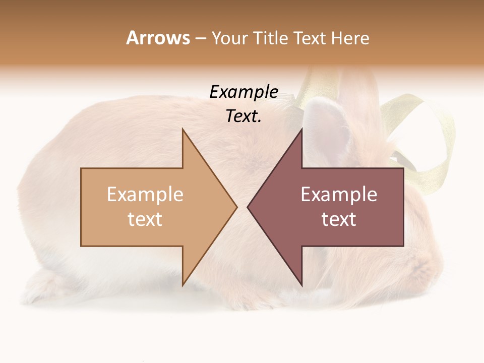 Shot Closeup Beauty PowerPoint Template