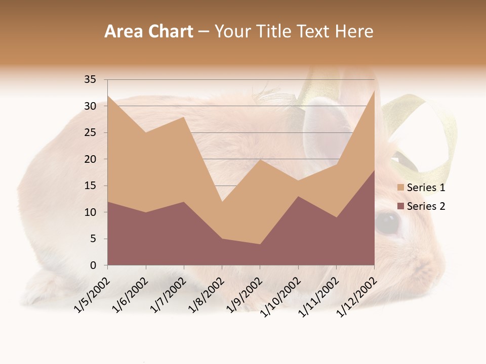 Shot Closeup Beauty PowerPoint Template