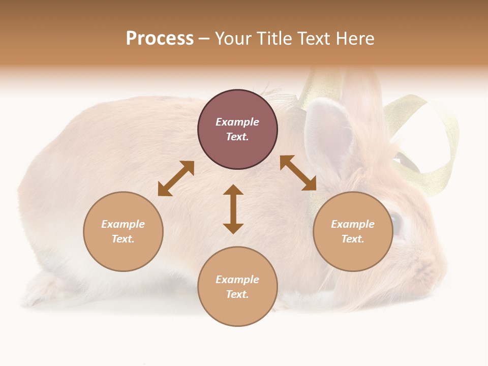 Shot Closeup Beauty PowerPoint Template