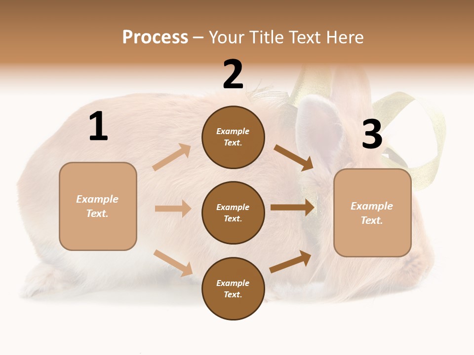 Shot Closeup Beauty PowerPoint Template