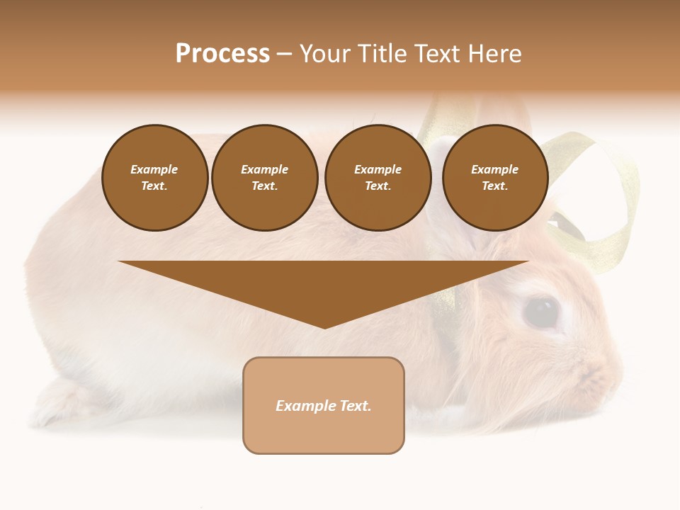 Shot Closeup Beauty PowerPoint Template