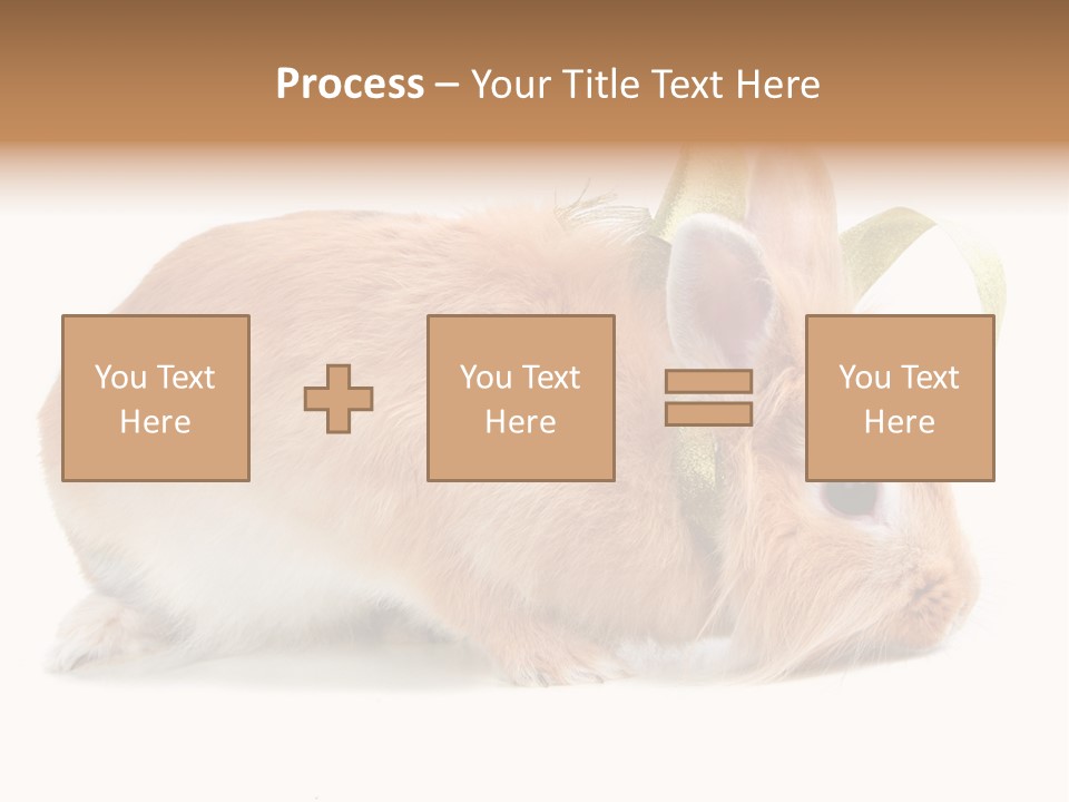 Shot Closeup Beauty PowerPoint Template
