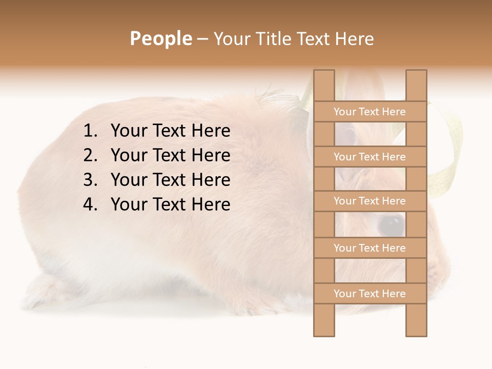 Shot Closeup Beauty PowerPoint Template