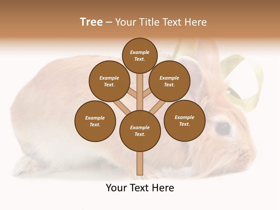 Shot Closeup Beauty PowerPoint Template