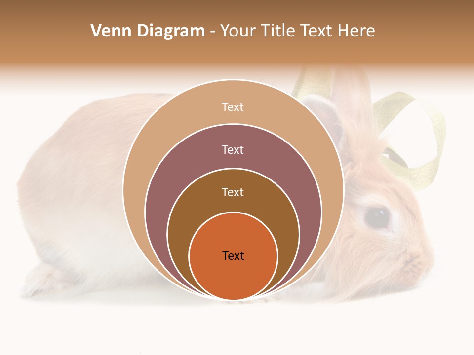 Shot Closeup Beauty PowerPoint Template