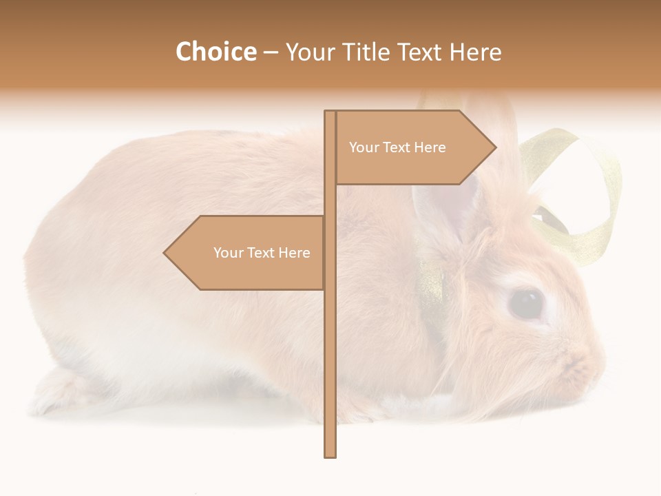 Shot Closeup Beauty PowerPoint Template