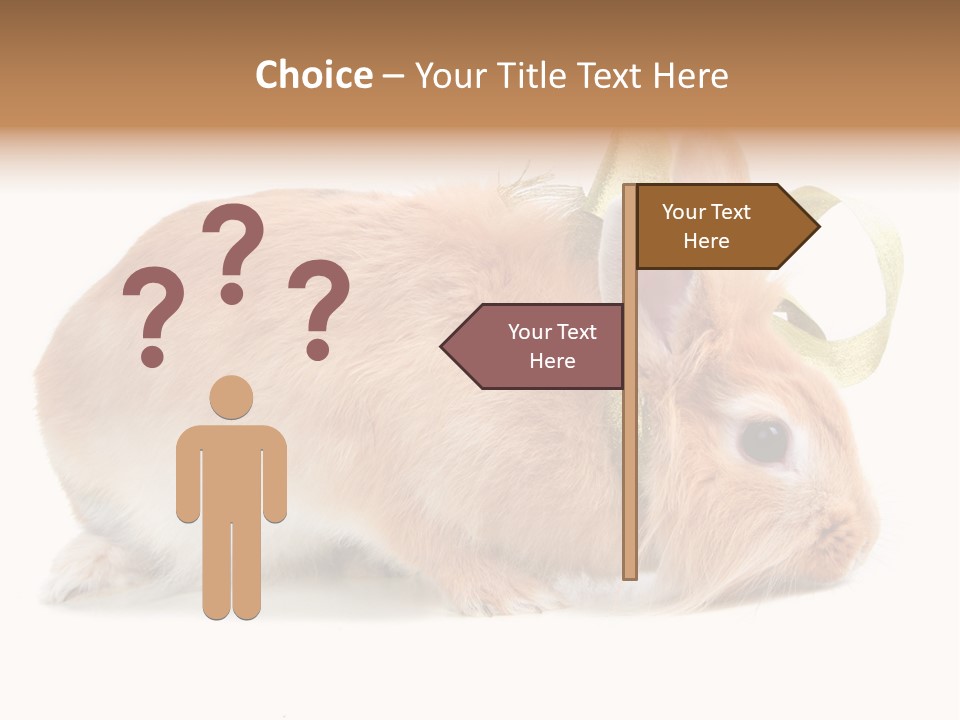 Shot Closeup Beauty PowerPoint Template