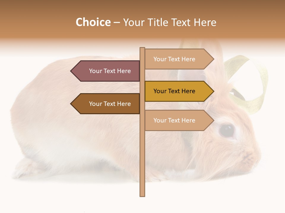 Shot Closeup Beauty PowerPoint Template