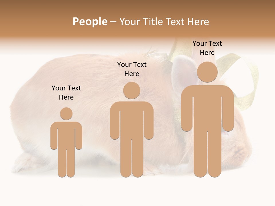 Shot Closeup Beauty PowerPoint Template