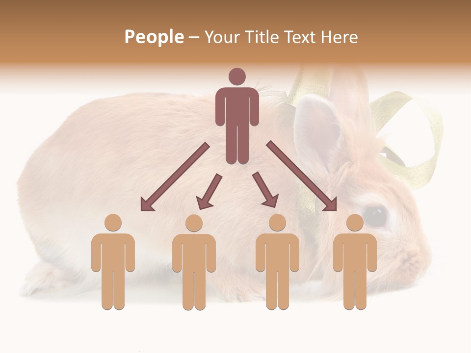 Shot Closeup Beauty PowerPoint Template