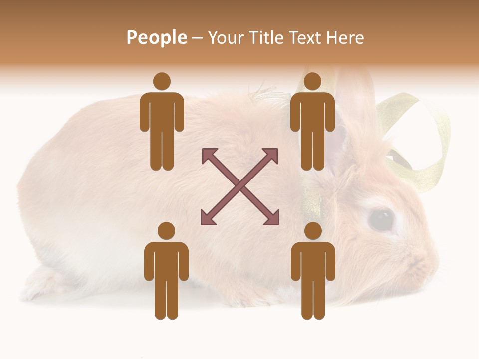 Shot Closeup Beauty PowerPoint Template