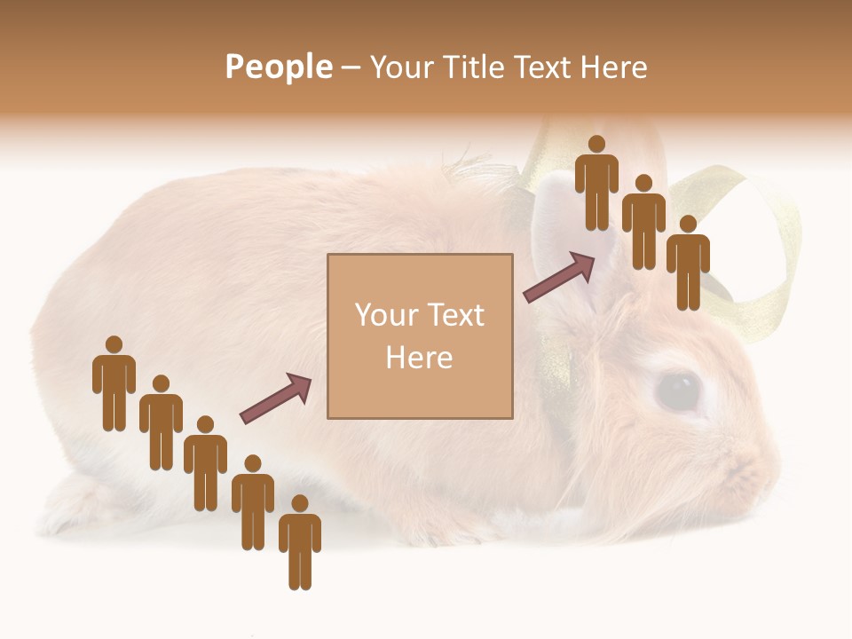 Shot Closeup Beauty PowerPoint Template