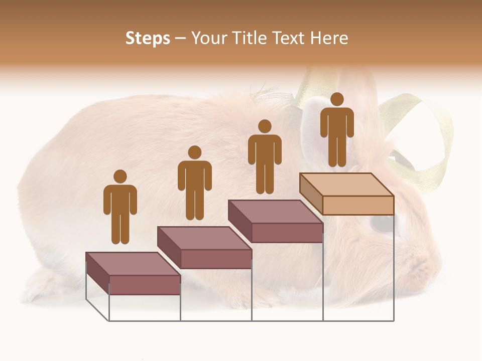 Shot Closeup Beauty PowerPoint Template