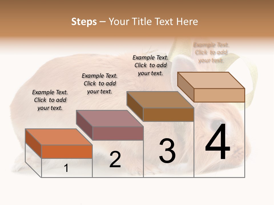 Shot Closeup Beauty PowerPoint Template