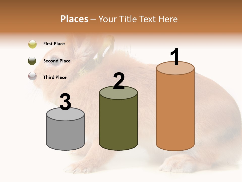 Easter Stylish Bunny PowerPoint Template