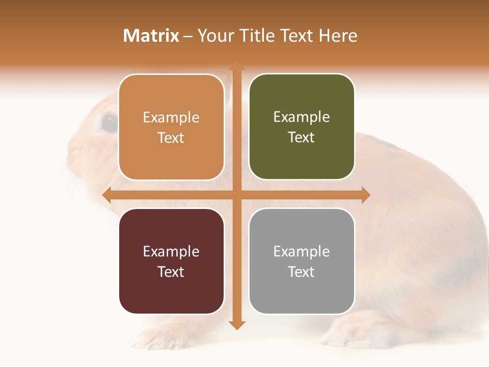 Easter Stylish Bunny PowerPoint Template