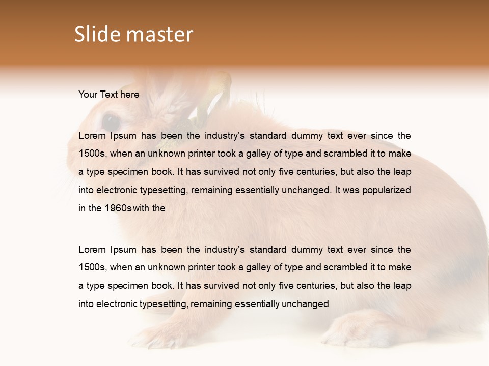 Easter Stylish Bunny PowerPoint Template