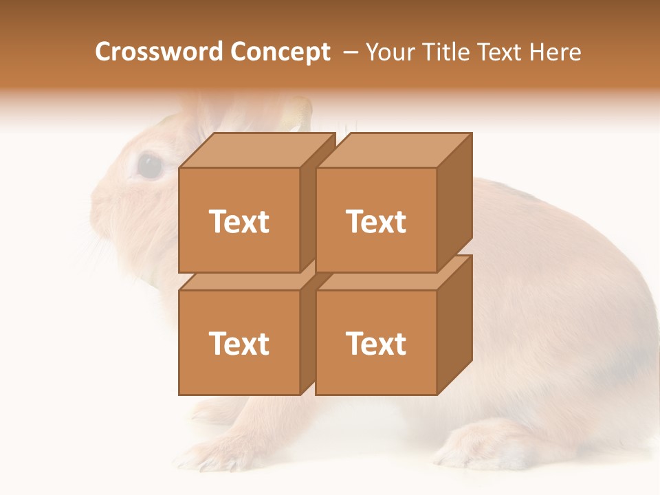 Easter Stylish Bunny PowerPoint Template