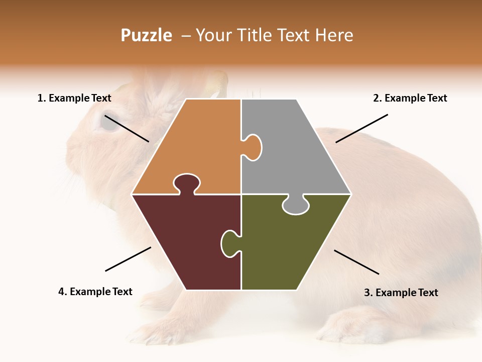 Easter Stylish Bunny PowerPoint Template