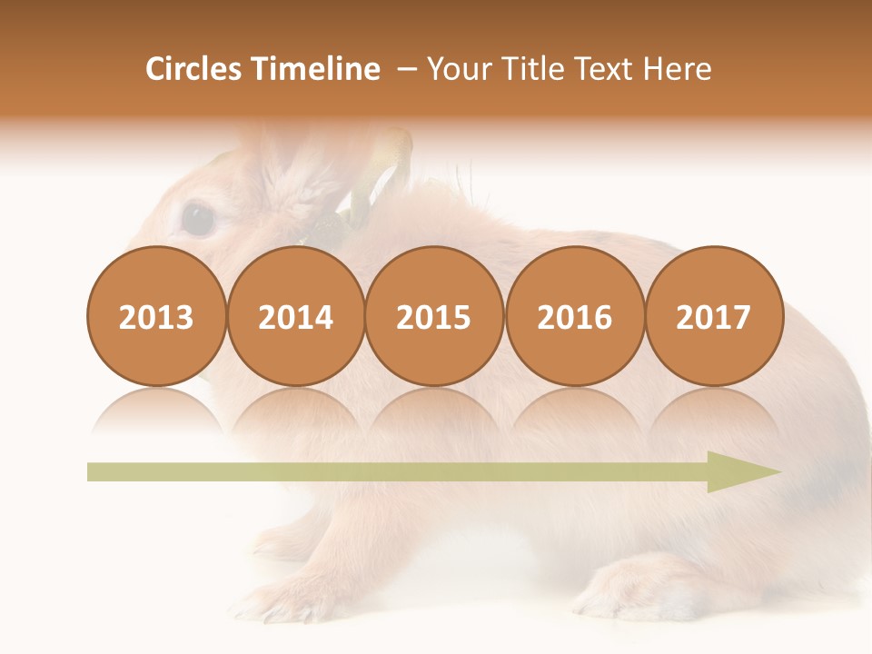 Easter Stylish Bunny PowerPoint Template