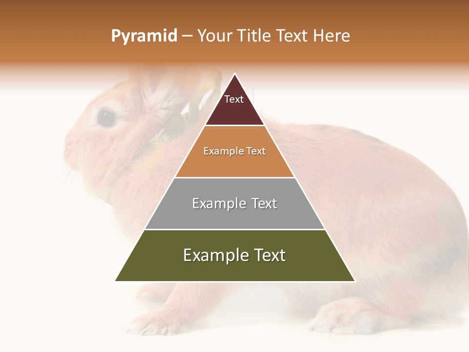 Easter Stylish Bunny PowerPoint Template