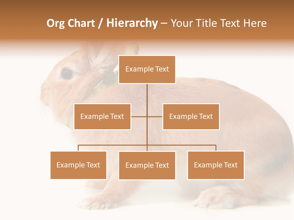 Easter Stylish Bunny PowerPoint Template