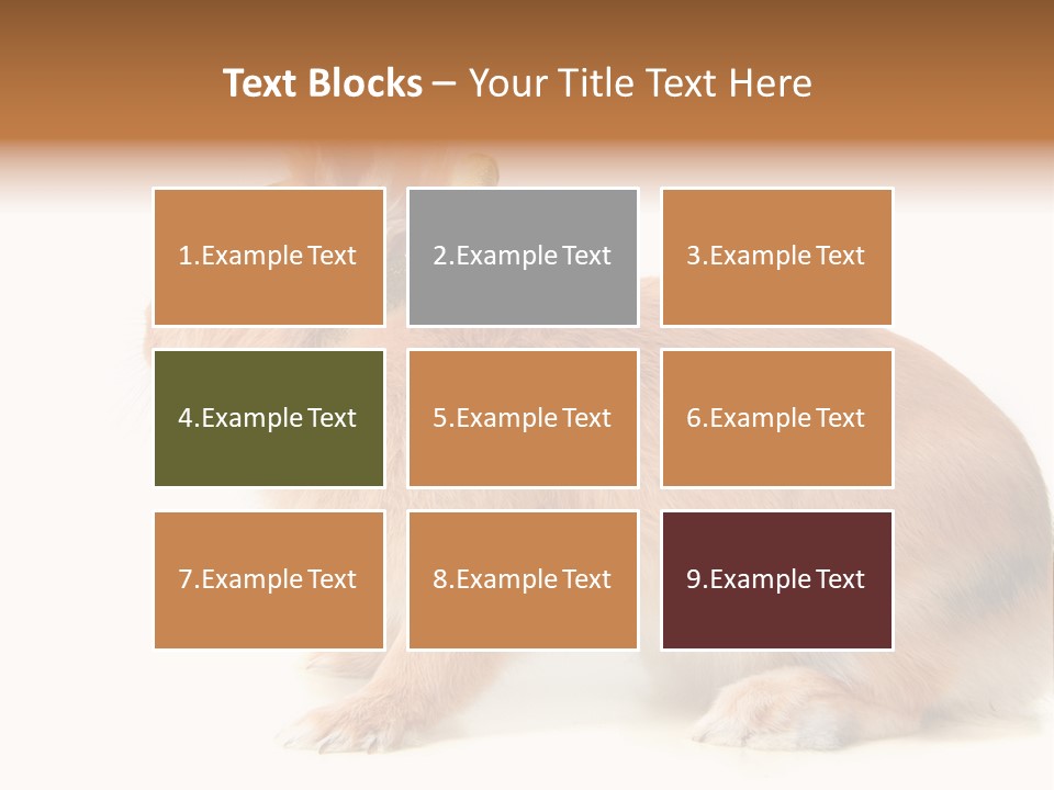 Easter Stylish Bunny PowerPoint Template