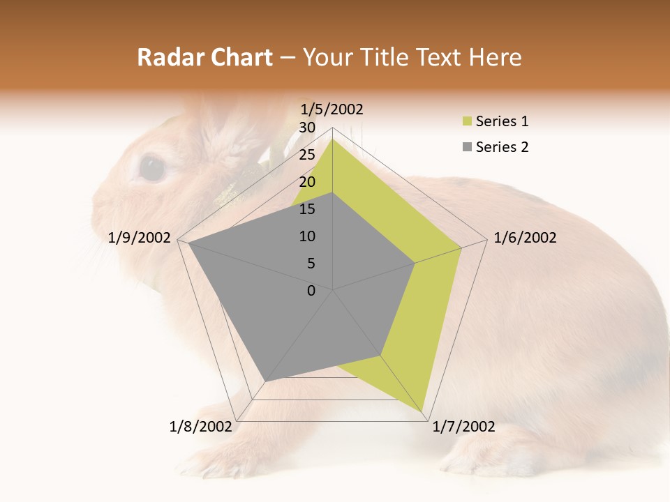 Easter Stylish Bunny PowerPoint Template