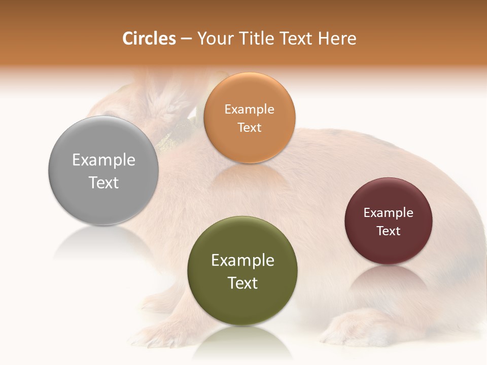 Easter Stylish Bunny PowerPoint Template